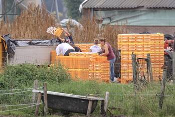 nieuws plantagelaan barneveld
