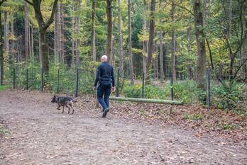 nieuws amsterdamsestraatweg baarn