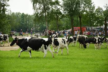 nieuws geerenweg eemnes