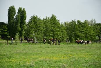 ongeval weesperweg muiden
