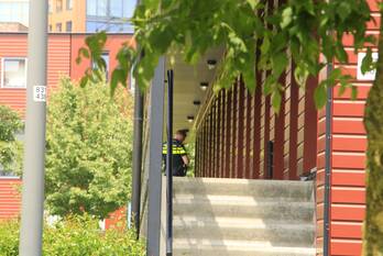 nieuws zeelt amersfoort