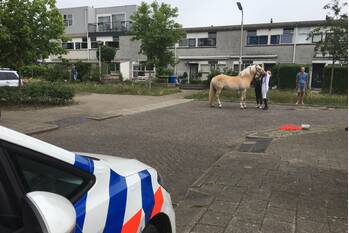 nieuws theo uden masmanstraat amersfoort