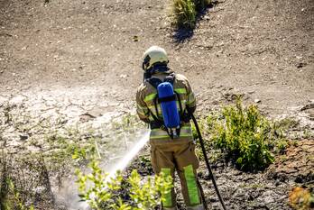 brand fornheselaan den dolder