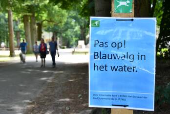 nieuws groeneveld baarn