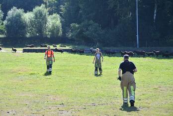 nieuws stadwijksingel eemnes