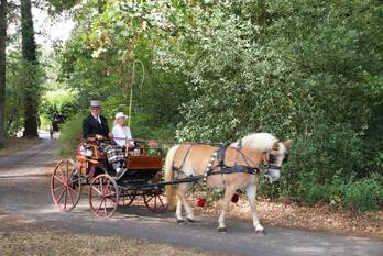 evenement almenseweg vorden