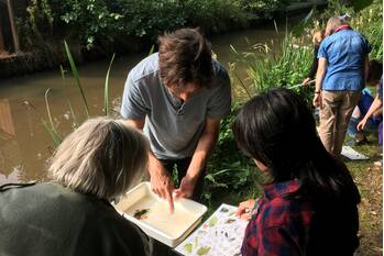 evenement schorthorsterlaan amersfoort