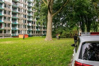 nieuws ivoordreef utrecht