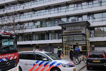 brand boompjesgoed veenendaal