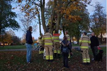 ongeval waldhoorn barneveld