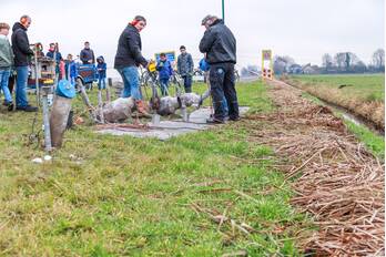 nieuws smeerweg bunschoten-spakenburg