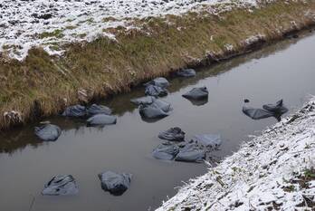 milieu kloosterweg scharendijke
