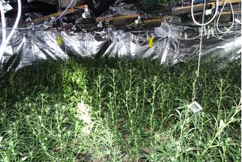 nieuws centrum 's-gravenpolder