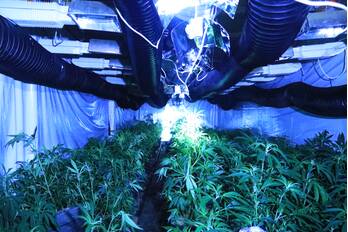 nieuws de kronkels bunschoten-spakenburg