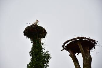 natuur meentweg eemnes