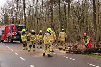 natuur kallenbroekerweg barneveld
