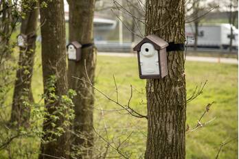 nieuws lindeboomseweg hoogland