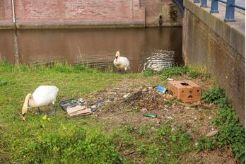 nieuws vollenhovekade amersfoort