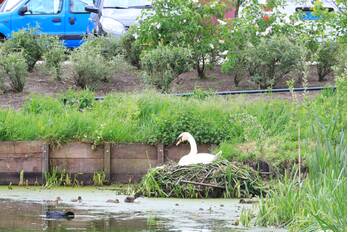 nieuws avalonpad amersfoort