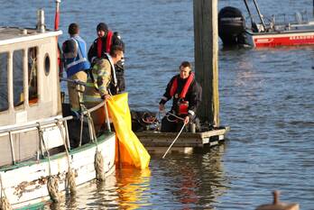 nieuws veerweg rhenen