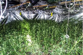 nieuws dorpstraat westervoort