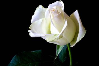 nieuws stroeslaan hilversum