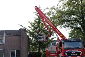 nieuws oldenbarnevelderweg barneveld