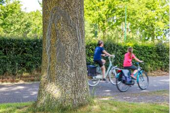 nieuws bunschoterstraat hoogland