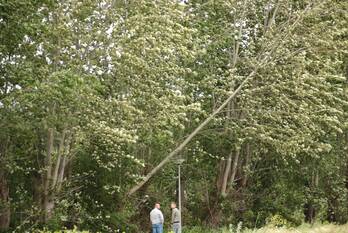 natuur nederwoudseweg barneveld