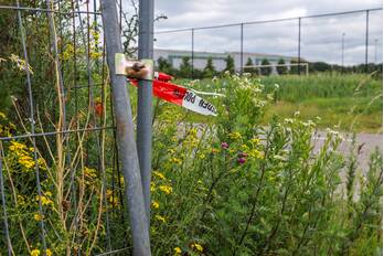 nieuws lindeboomseweg hoogland