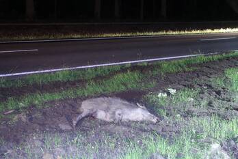 natuur apeldoornsestraat - n344 voorthuizen