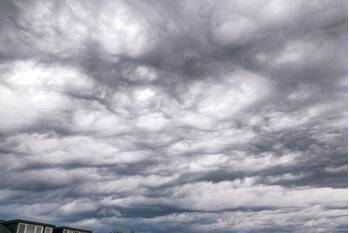 natuur lieve vrouwestraat amersfoort