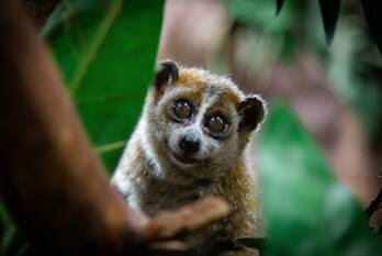 nieuws barchman wuytierslaan - n221 amersfoort