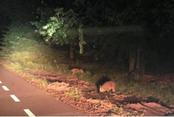 nieuws radioweg radio kootwijk