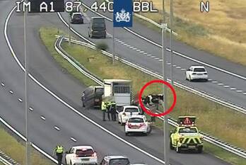 nieuws rijksweg a50 beekbergen