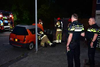 brand breehorn lelystad