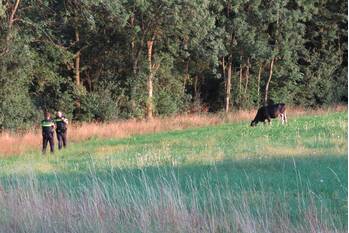 nieuws scherpenzeelseweg - n802 lunteren