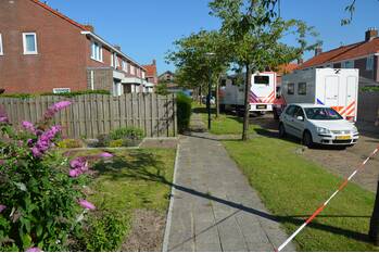 nieuws regnerus falcostrjitte stiens