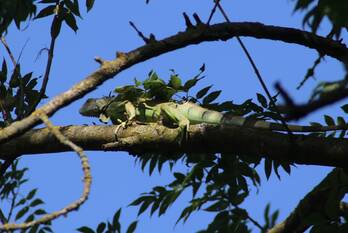 nieuws matenpoort apeldoorn