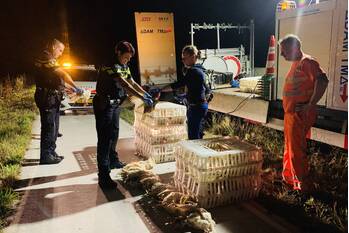 nieuws provinciale weg - n272 sint anthonis