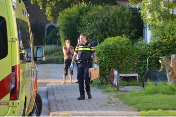 nieuws wilhelminastraat zaamslag