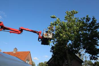 nieuws teutonenstraat apeldoorn