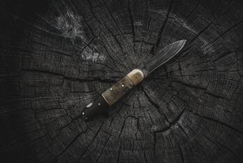 nieuws nieuwe steen hoorn