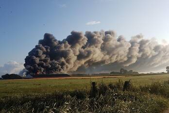 brand grytmanswei niawier