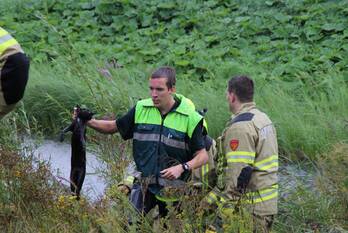 nieuws het jaagpad nijkerk