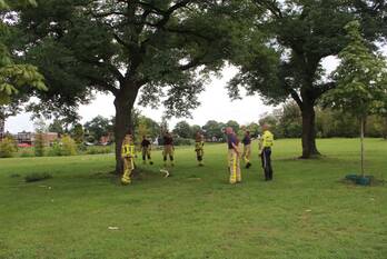 nieuws albardastraat apeldoorn