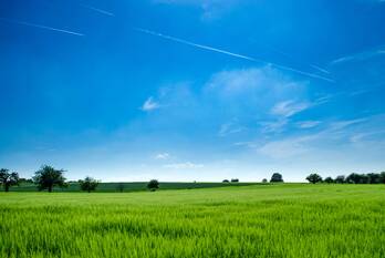 nieuws leliestraat wouwse plantage