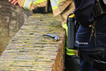 steekincident argusvlinder breda