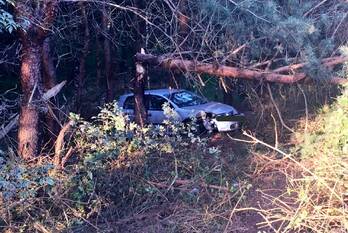 ongeval rijksweg a58 breda