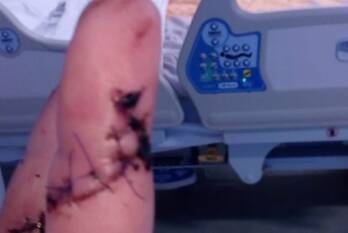 nieuws magnoliastraat spijkenisse